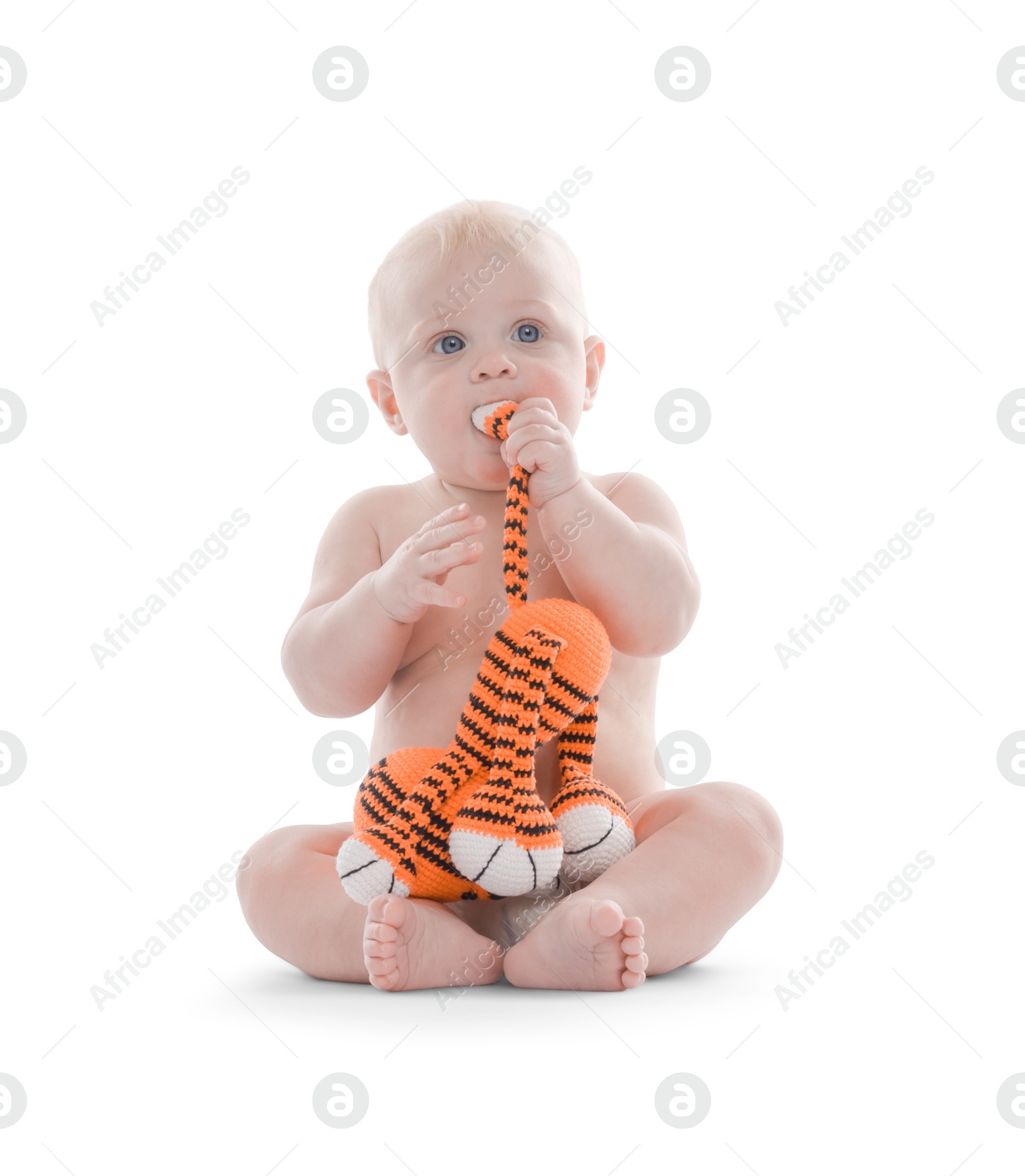 Cute little baby with knitted toy tiger on white background Photo of Cute little baby with knitted toy tiger on white background