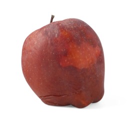 Photo of One whole rotten apple isolated on white