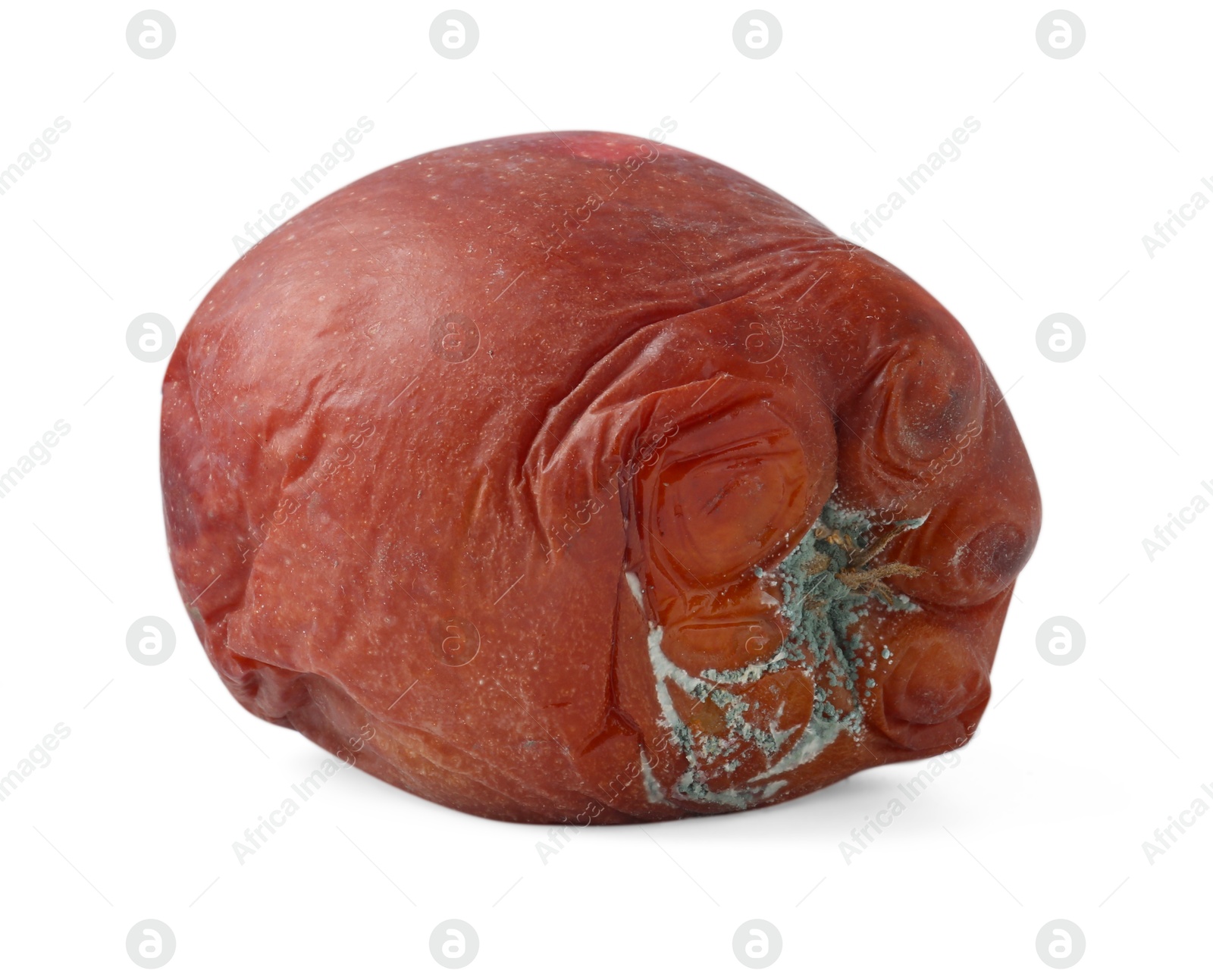 One whole rotten apple isolated on white Photo of One whole rotten apple isolated on white