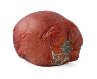 Photo of One whole rotten apple isolated on white