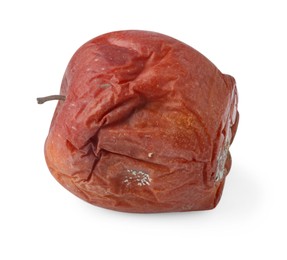 Photo of One whole rotten apple isolated on white