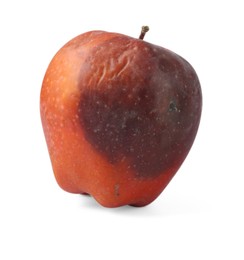 Photo of One whole rotten apple isolated on white