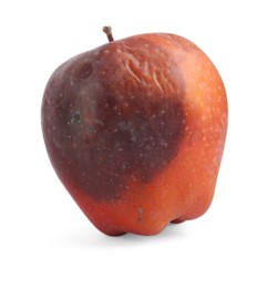 Photo of One whole rotten apple isolated on white