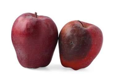 Photo of Whole rotten apple and healthy one isolated on white