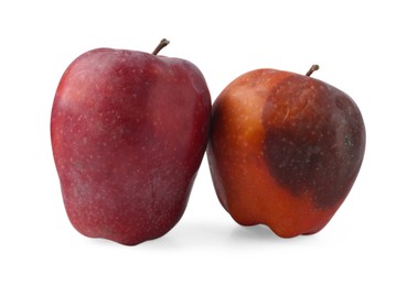 Photo of Whole rotten apple and healthy one isolated on white