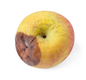 Photo of One whole rotten apple isolated on white