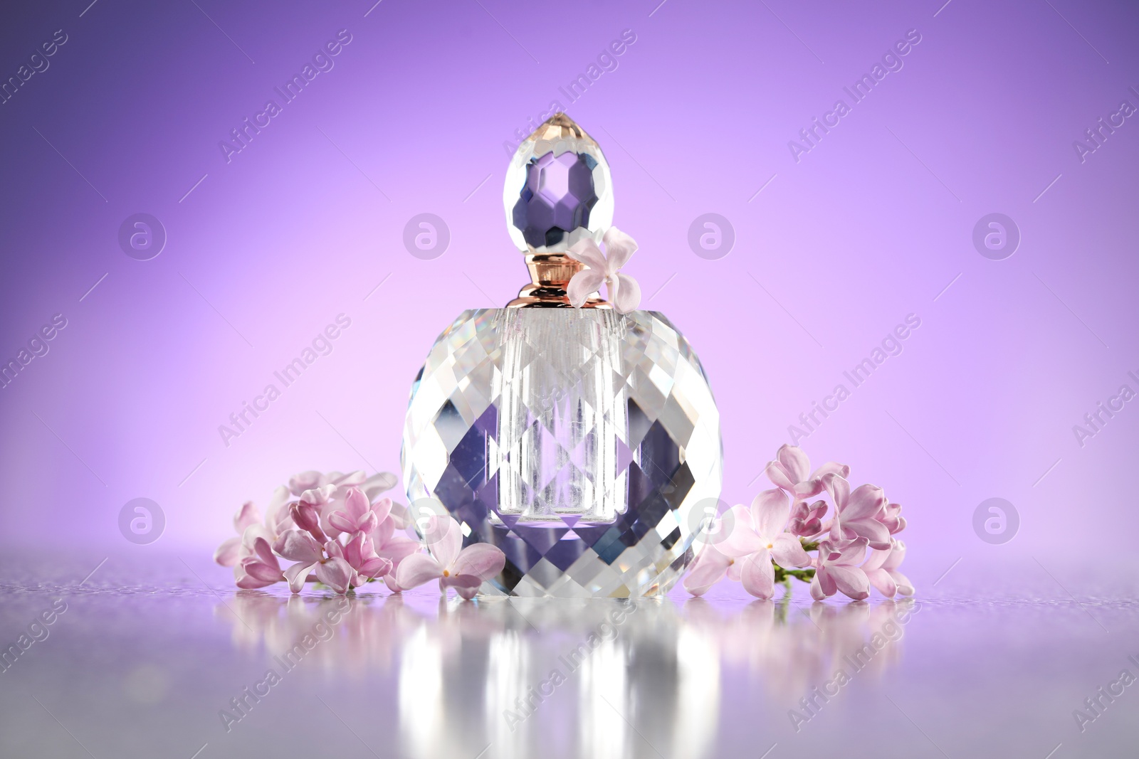 Beautiful lilac flowers and perfume on mirror surface against violet gradient background Photo of Beautiful lilac flowers and perfume on mirror surface against violet gradient background