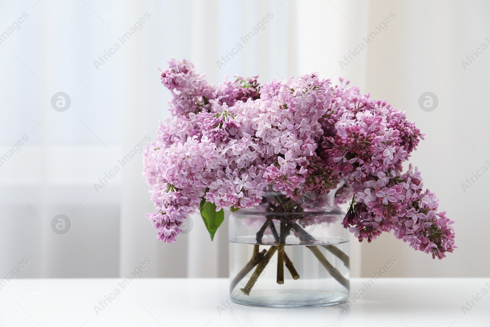 Beautiful lilac flowers in glass vase on white table indoors Photo of Beautiful lilac flowers in glass vase on white table indoors