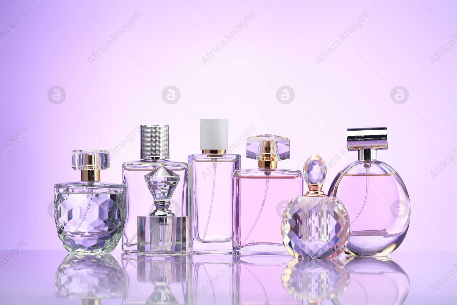 Bottles of perfume on mirror surface against pale violet gradient background Photo of Bottles of perfume on mirror surface against pale violet gradient background