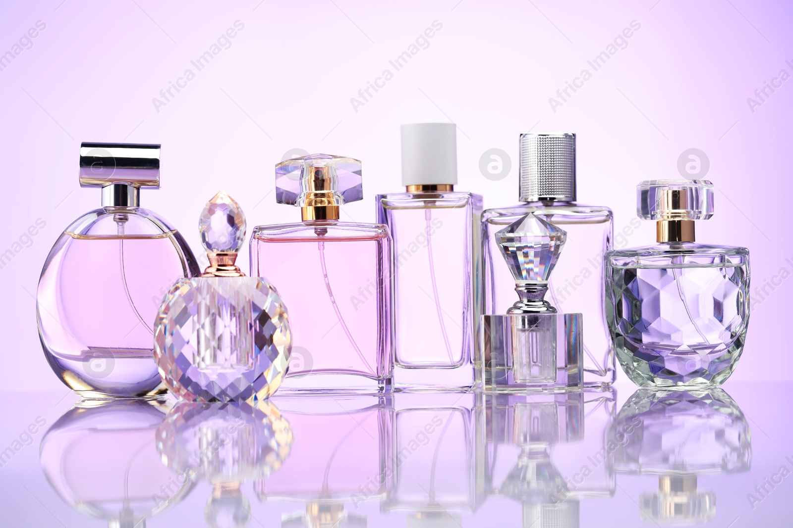 Bottles of perfume on mirror surface against pale violet gradient background Photo of Bottles of perfume on mirror surface against pale violet gradient background