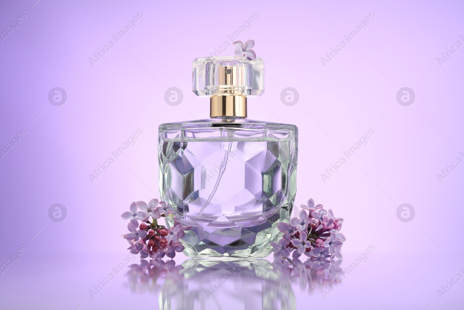 Beautiful lilac flowers and perfume on mirror surface against violet gradient background Photo of Beautiful lilac flowers and perfume on mirror surface against violet gradient background