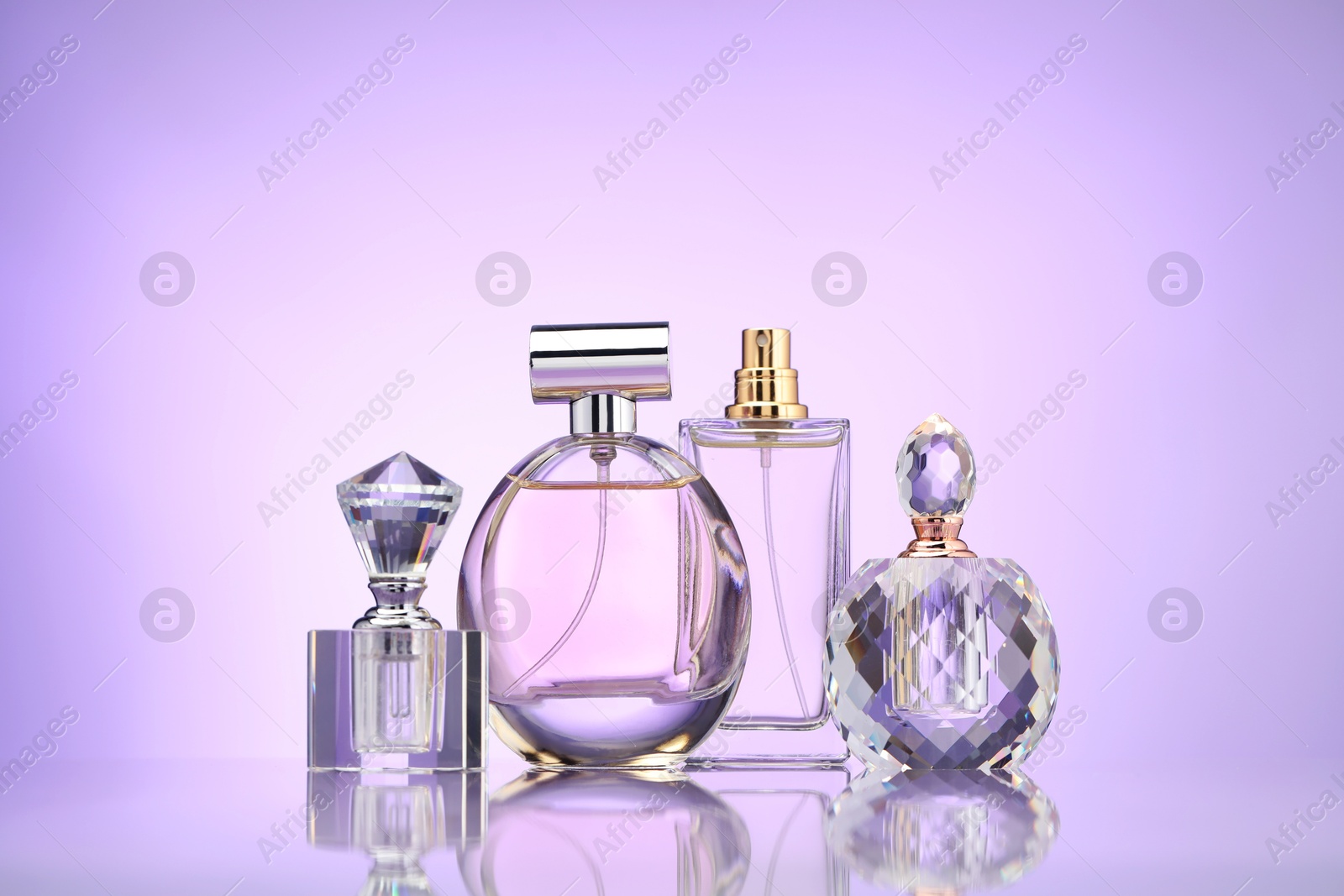 Bottles of perfume on mirror surface against violet gradient background Photo of Bottles of perfume on mirror surface against violet gradient background