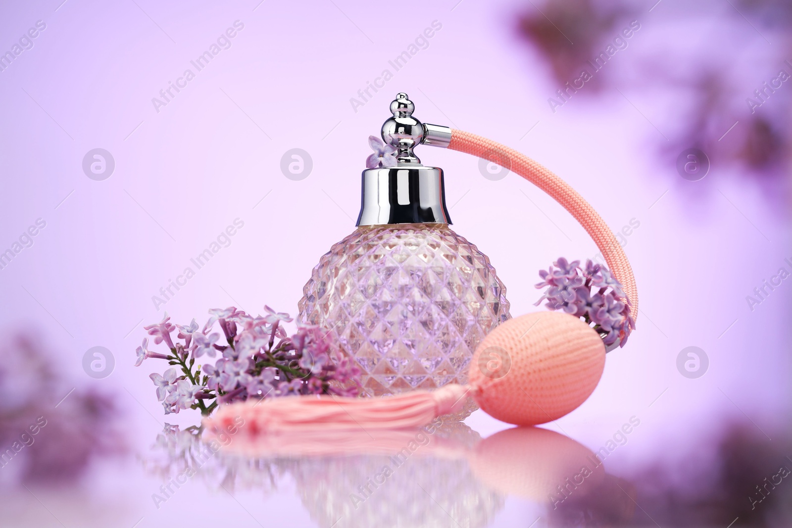 Bottle of perfume and lilac flowers on mirror surface against violet gradient background, selective focus Photo of Bottle of perfume and lilac flowers on mirror surface against violet gradient background, selective focus