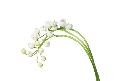 Photo of Beautiful fragrant lily-of-the-valley flowers isolated on white