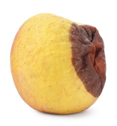 Photo of One whole rotten apple isolated on white