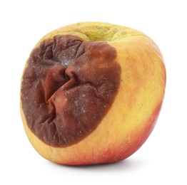 Photo of One whole rotten apple isolated on white