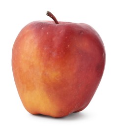 Photo of One rotten red apple isolated on white