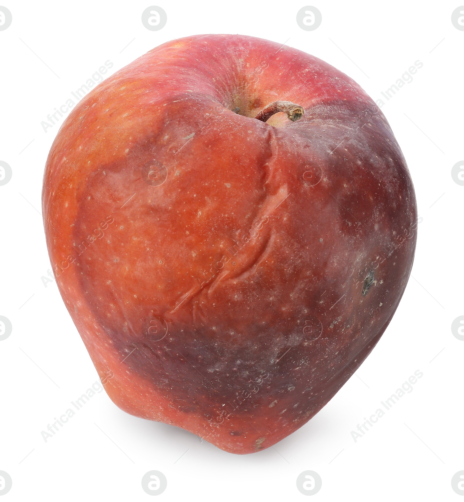 One rotten red apple isolated on white Photo of One rotten red apple isolated on white