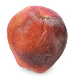 Photo of One rotten red apple isolated on white
