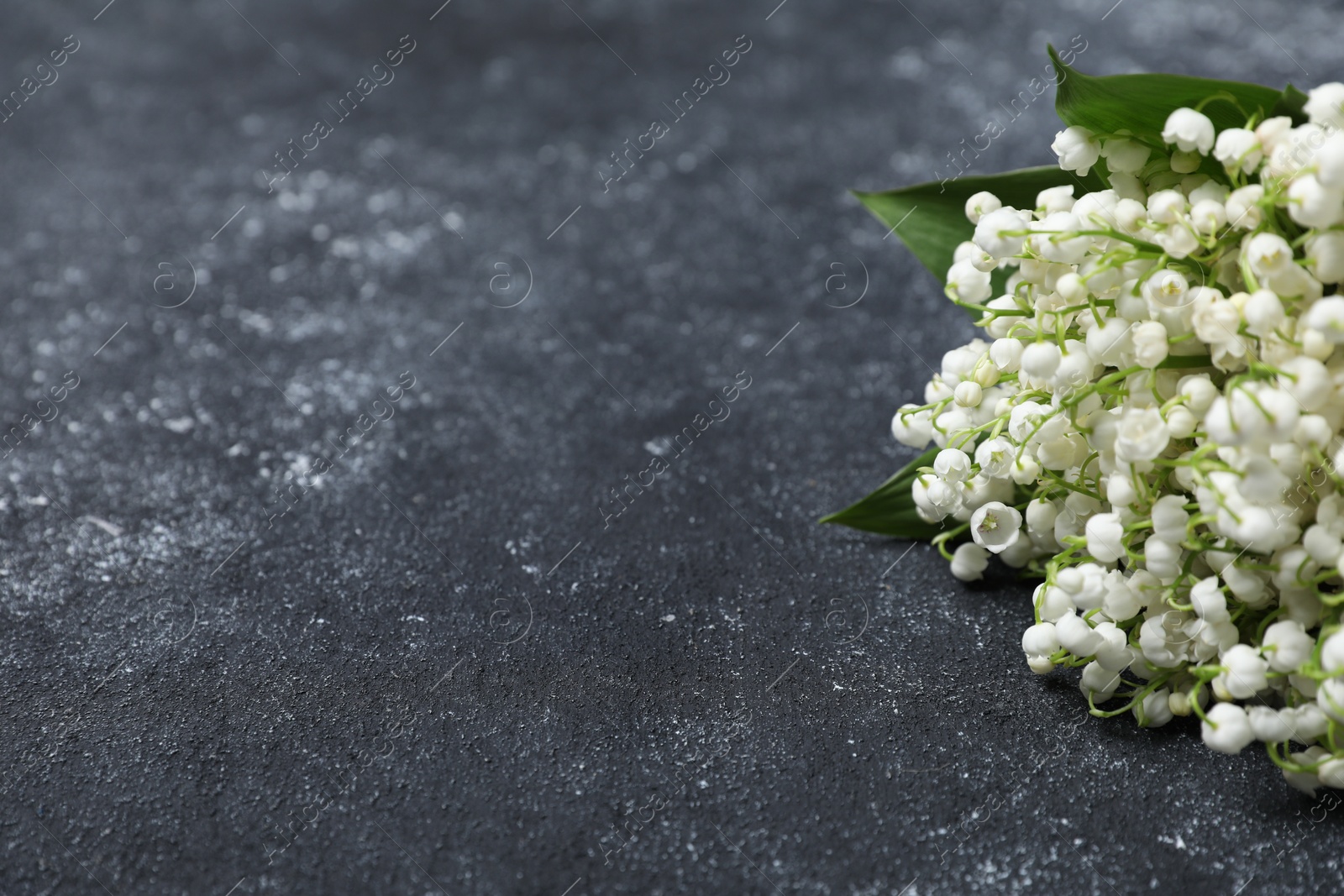 Bouquet of beautiful lily-of-the-valley flowers on black textured background, closeup. Space for text Photo of Bouquet of beautiful lily-of-the-valley flowers on black textured background, closeup. Space for text