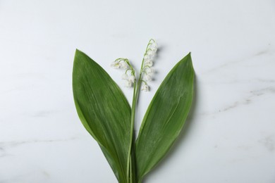 Photo of Beautiful lily-of-the-valley flowers on white marble background, top view