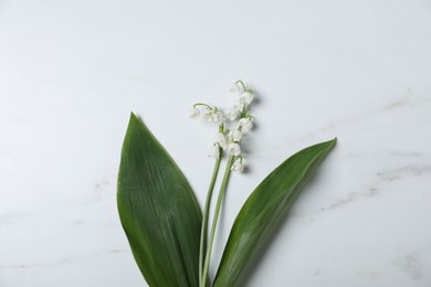 Photo of Beautiful lily-of-the-valley flowers on white marble background, top view