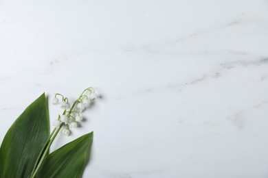 Photo of Beautiful lily-of-the-valley flowers on white marble background, top view. Space for text