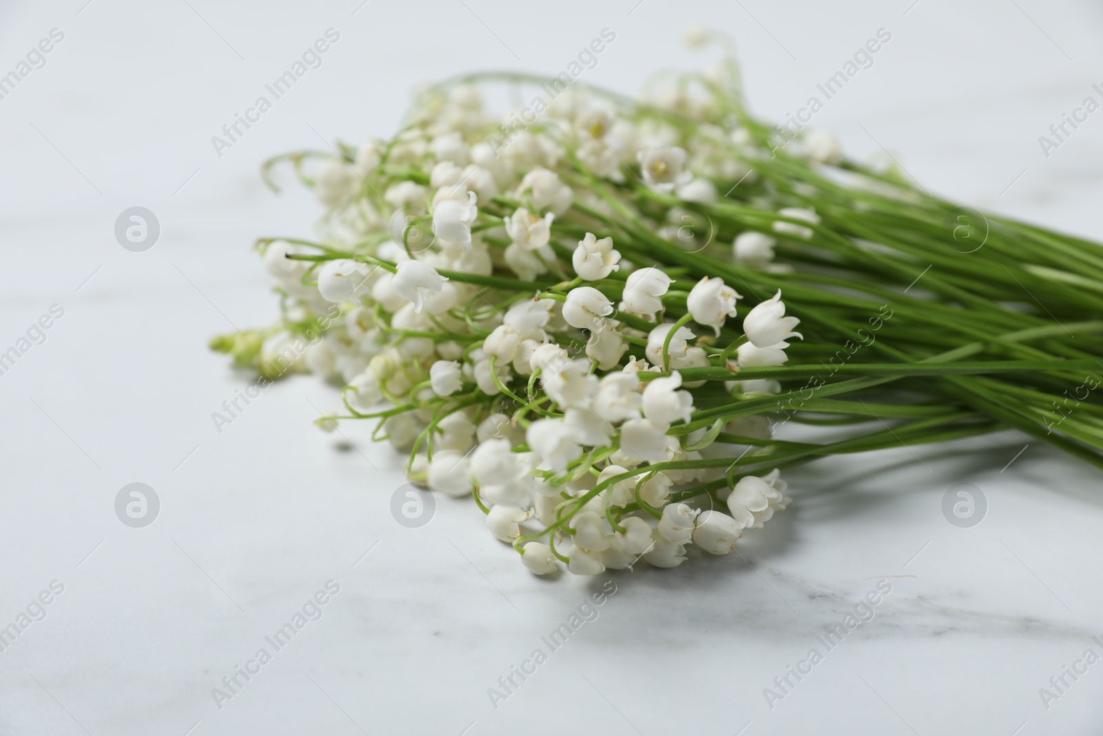 Beautiful lily-of-the-valley flowers on white marble background, closeup Photo of Beautiful lily-of-the-valley flowers on white marble background, closeup