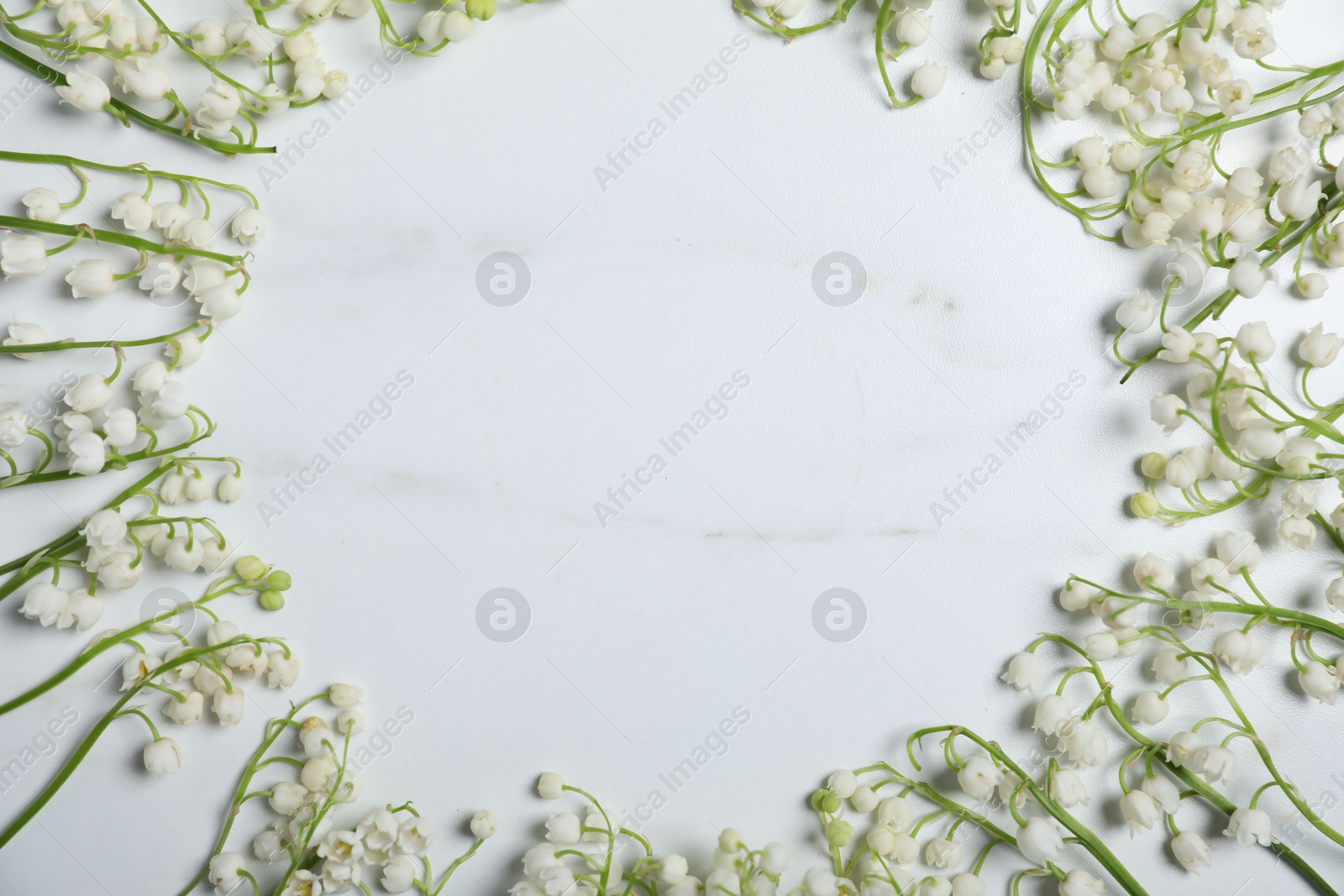 Frame of beautiful lily-of-the-valley flowers on white marble background, flat lay. Space for text Photo of Frame of beautiful lily-of-the-valley flowers on white marble background, flat lay. Space for text