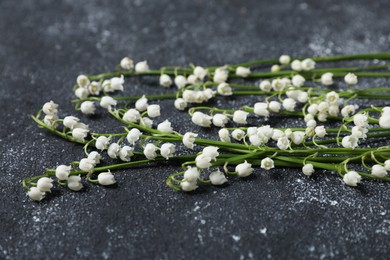 Photo of Beautiful lily-of-the-valley flowers on black textured background, closeup
