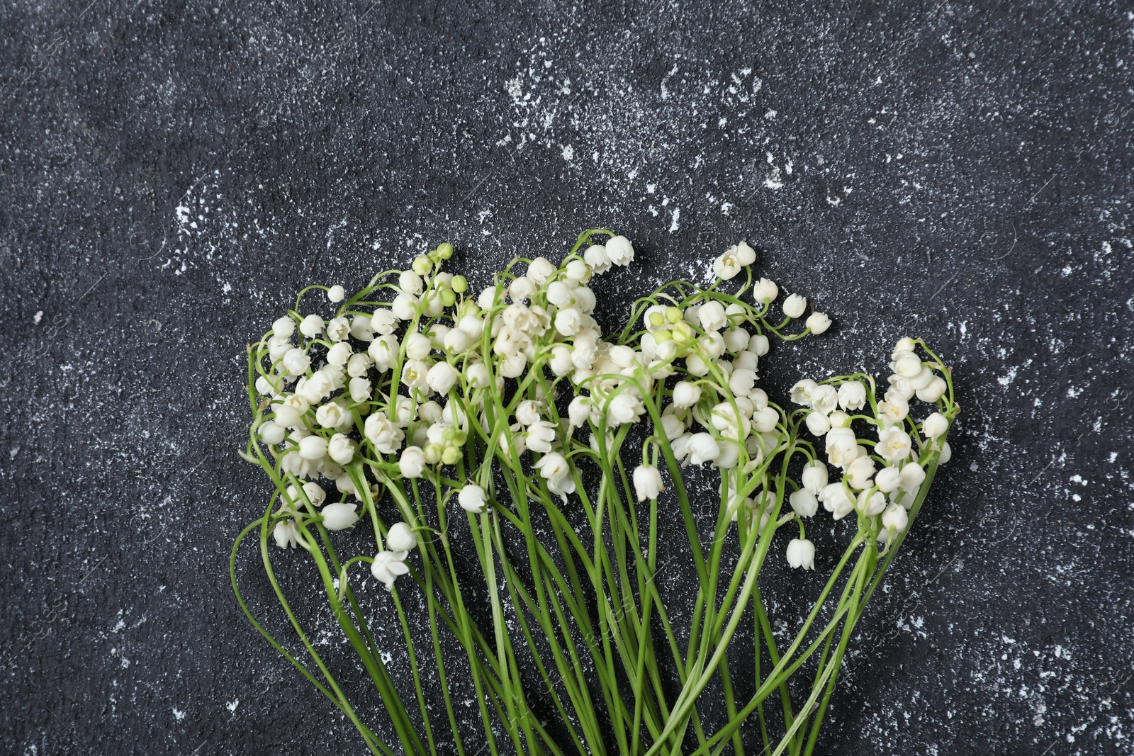 Beautiful lily-of-the-valley flowers on black textured background, flat lay Photo of Beautiful lily-of-the-valley flowers on black textured background, flat lay