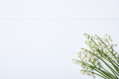 Photo of Beautiful lily-of-the-valley flowers on white wooden background, flat lay. Space for text