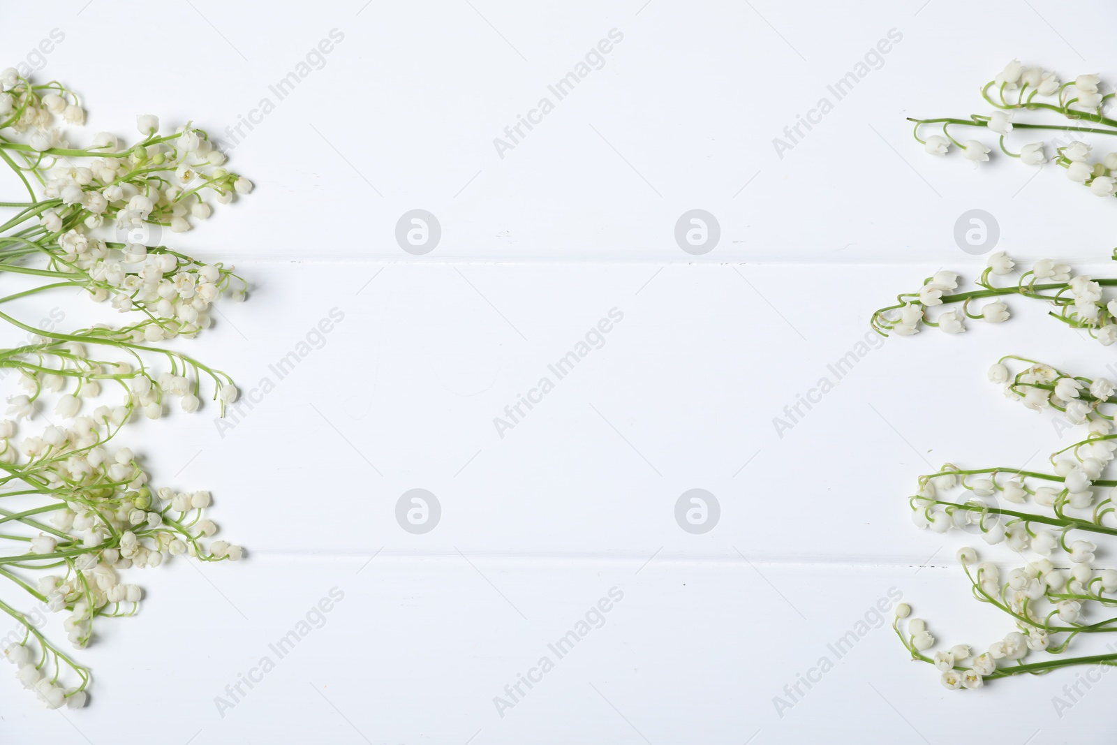 Beautiful lily-of-the-valley flowers on white wooden background, flat lay. Space for text Photo of Beautiful lily-of-the-valley flowers on white wooden background, flat lay. Space for text