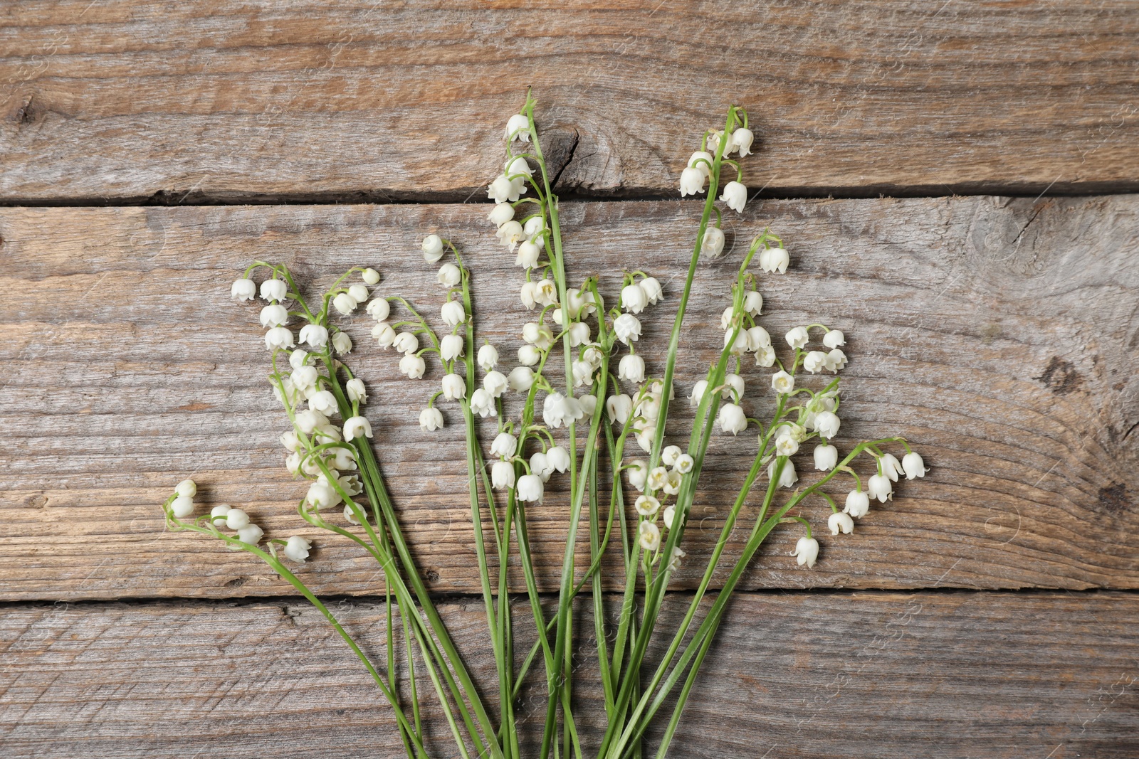 Beautiful lily-of-the-valley flowers on wooden background, flat lay Photo of Beautiful lily-of-the-valley flowers on wooden background, flat lay