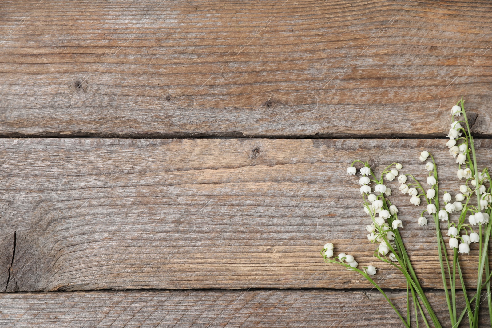 Beautiful lily-of-the-valley flowers on wooden background, flat lay. Space for text Photo of Beautiful lily-of-the-valley flowers on wooden background, flat lay. Space for text