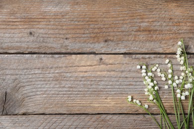 Photo of Beautiful lily-of-the-valley flowers on wooden background, flat lay. Space for text