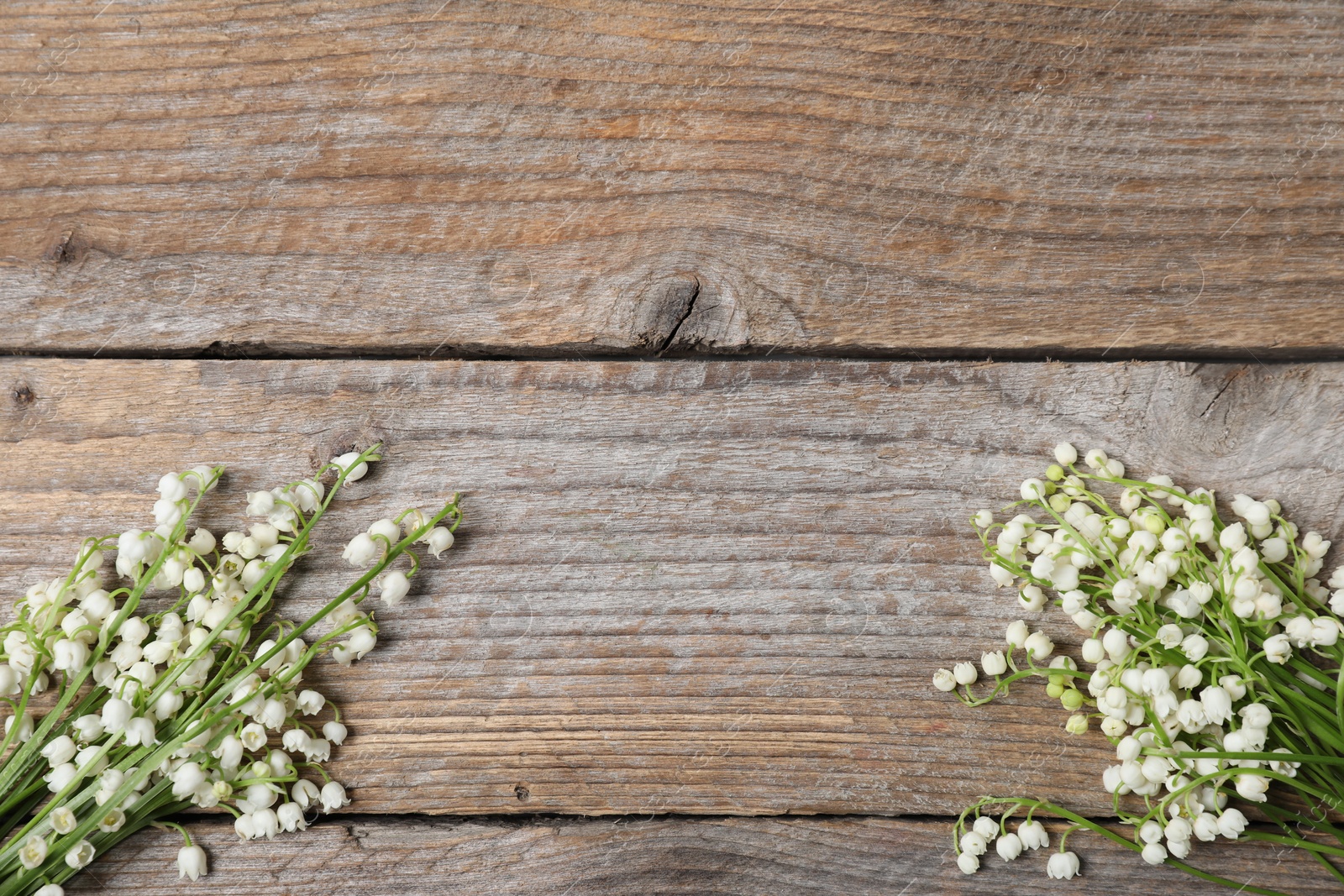 Beautiful lily-of-the-valley flowers on wooden background, flat lay. Space for text Photo of Beautiful lily-of-the-valley flowers on wooden background, flat lay. Space for text