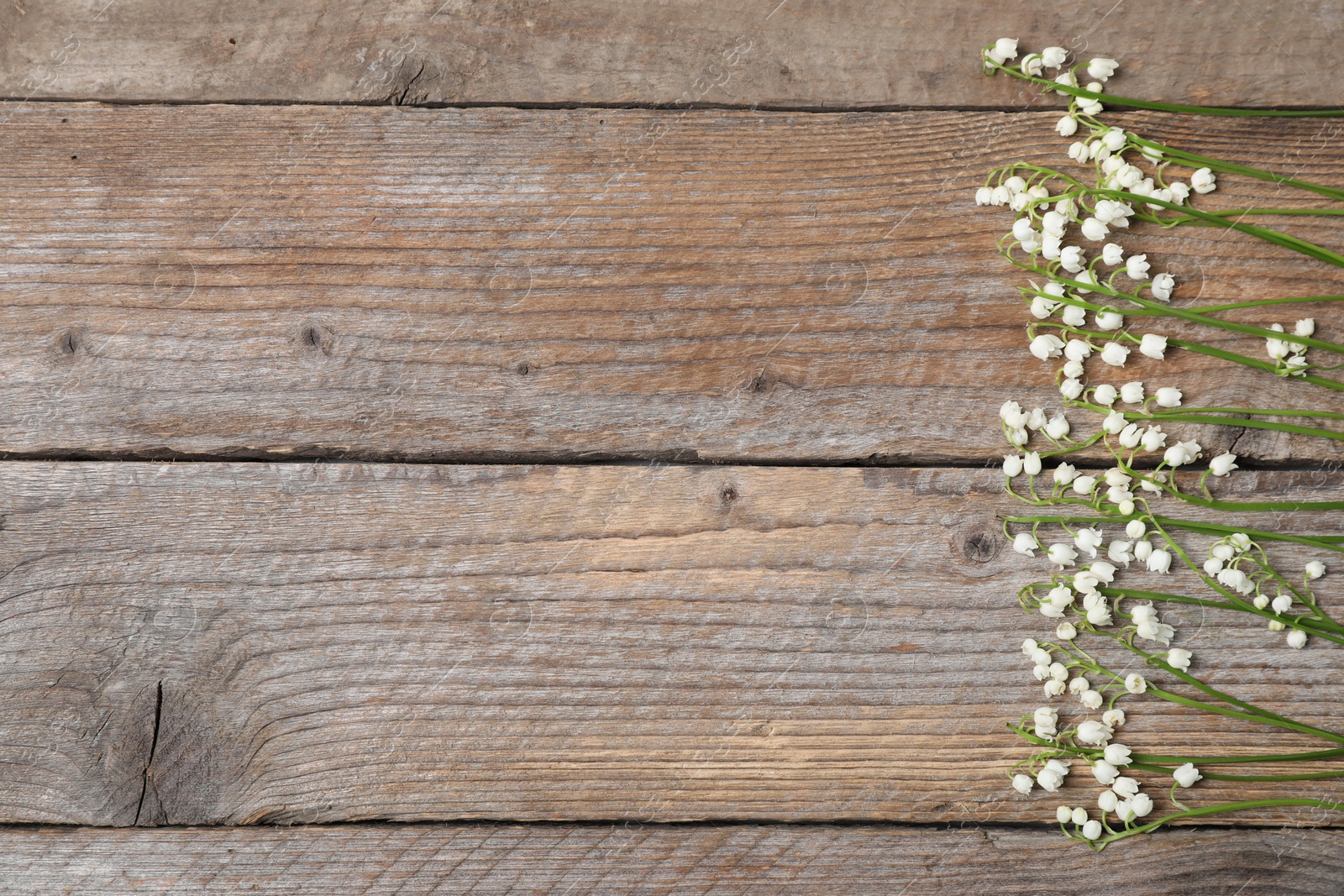 Beautiful lily-of-the-valley flowers on wooden background, flat lay. Space for text Photo of Beautiful lily-of-the-valley flowers on wooden background, flat lay. Space for text
