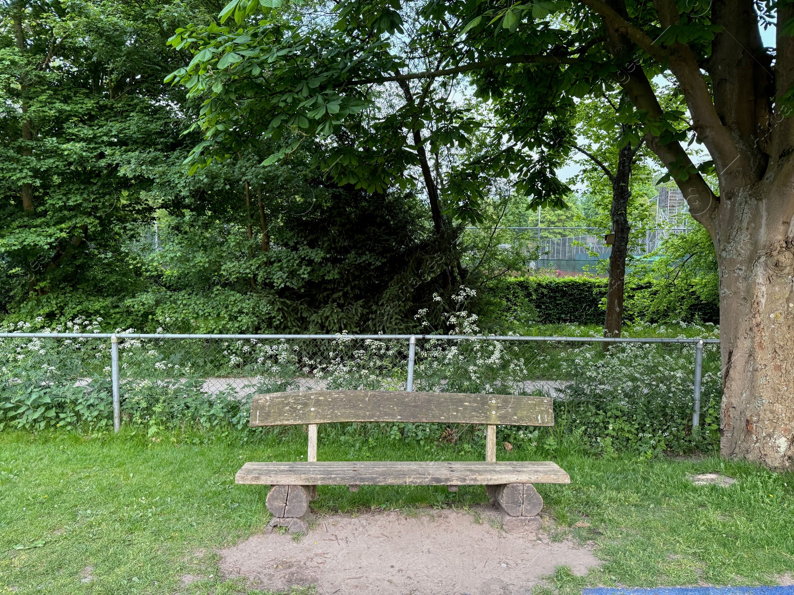 Empty wooden bench near fence in beautiful park Photo of Empty wooden bench near fence in beautiful park