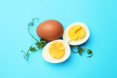 Photo of Boiled eggs and microgreens on light blue background, flat lay