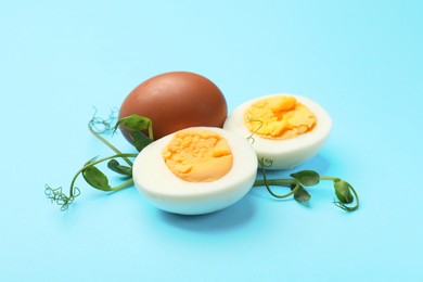 Photo of Boiled eggs and microgreens on light blue background, closeup