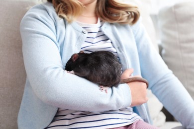 Photo of Little girl with cute black rat on sofa at home, closeup