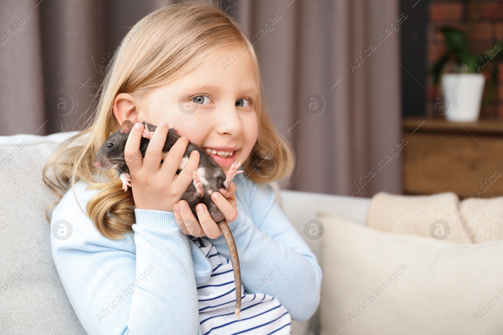 Photo of Little girl with cute black rat on sofa at home, space for text