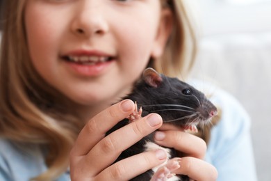 Photo of Little girl with cute black rat on sofa at home, closeup