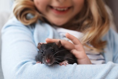 Photo of Little girl with cute black rat at home, closeup