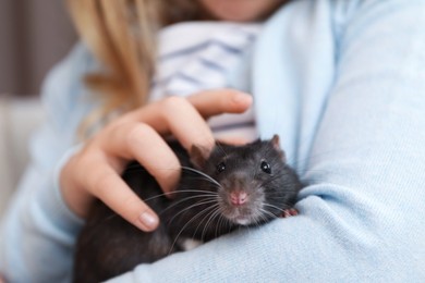 Photo of Little girl with cute black rat at home, closeup