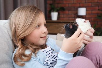 Photo of Little girl with cute rats on sofa at home
