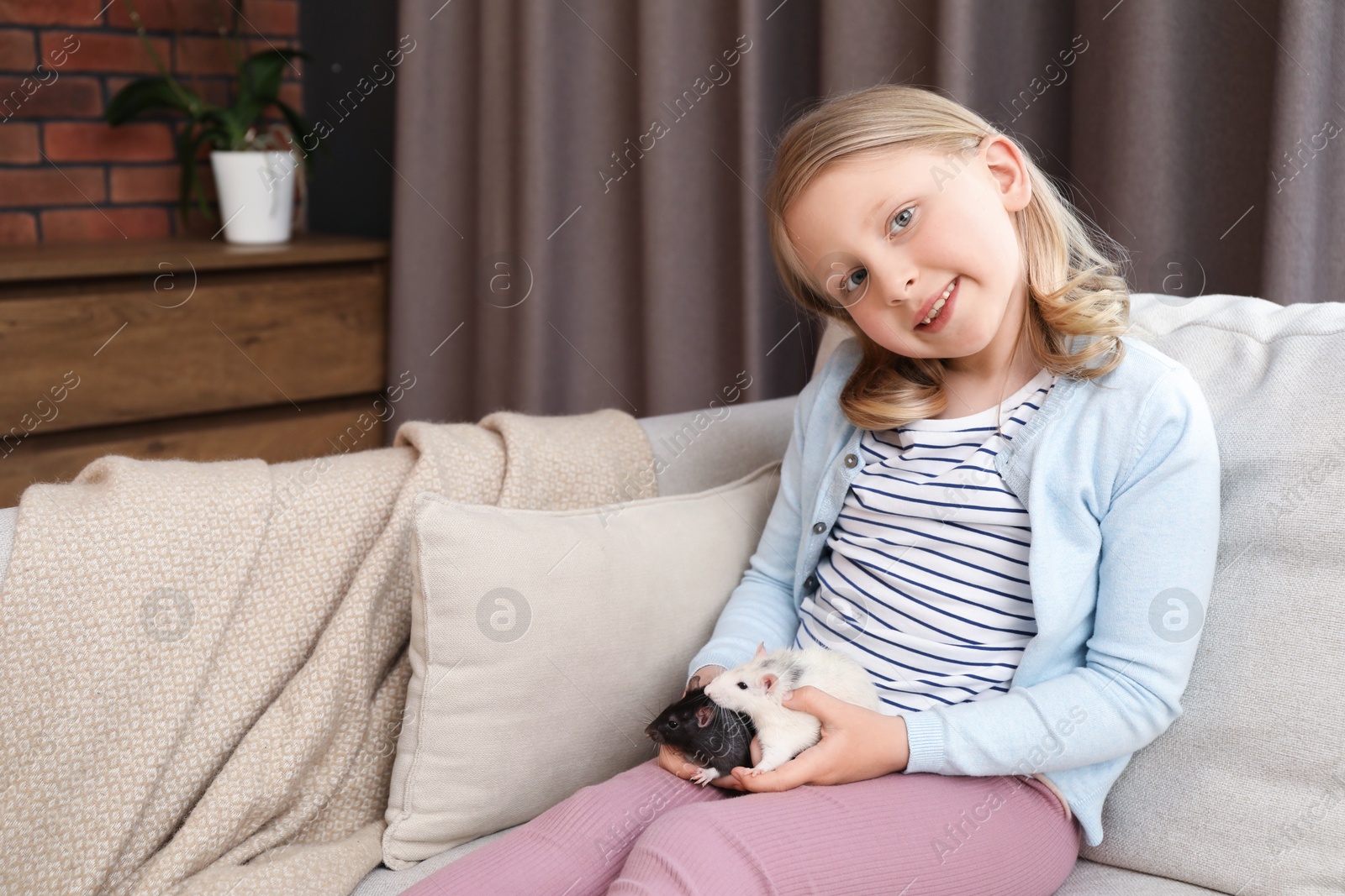 Little girl with cute rats on sofa at home, space for text Photo of Little girl with cute rats on sofa at home, space for text