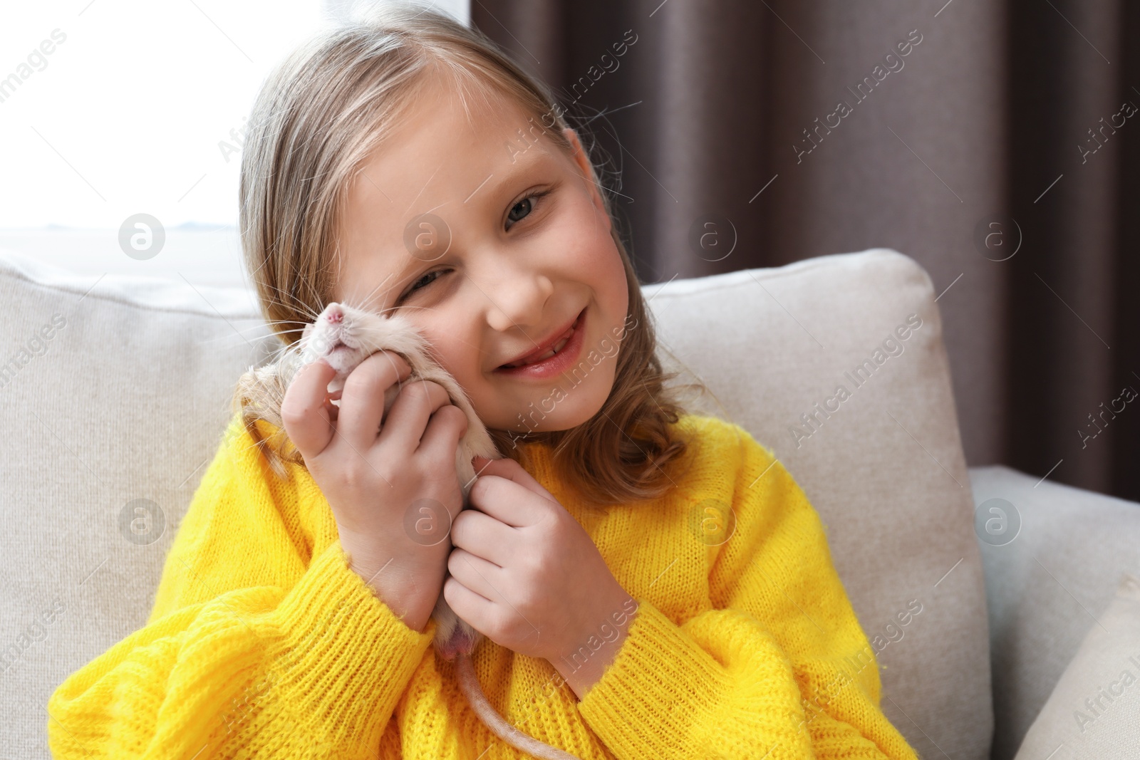 Little girl with cute white rat on sofa at home Photo of Little girl with cute white rat on sofa at home