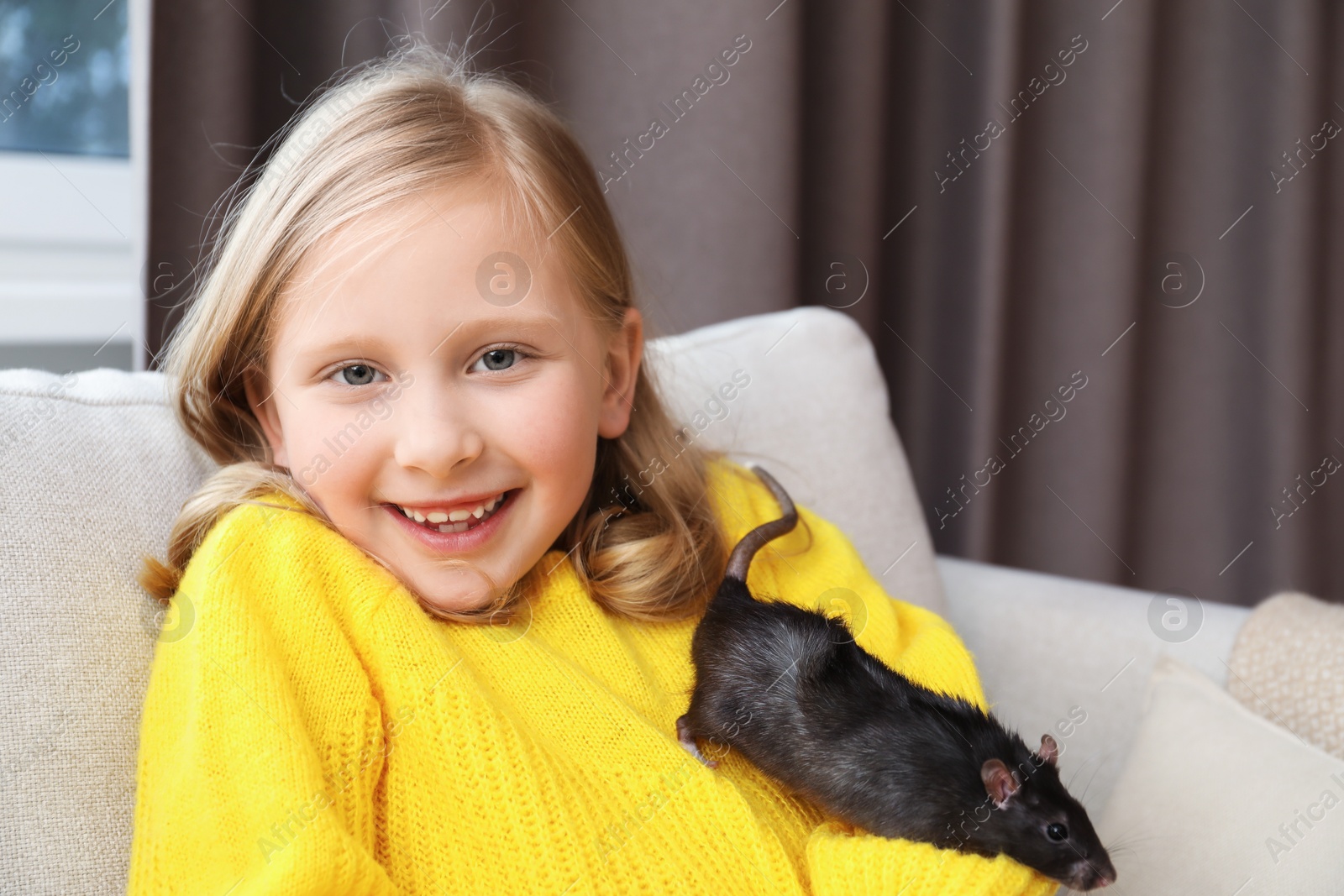 Photo of Little girl with cute black rat on sofa at home